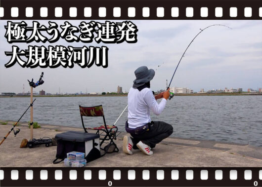 【YouTube動画紹介】