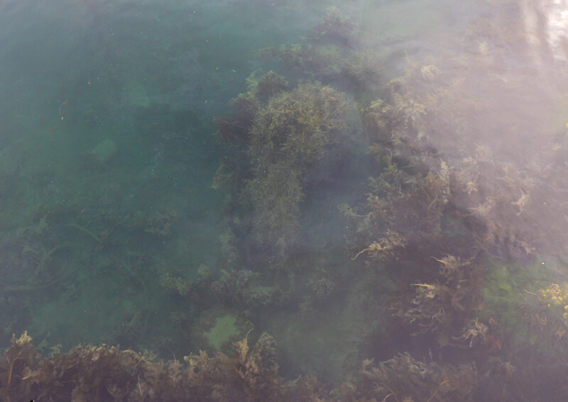 03_ 濁った水
