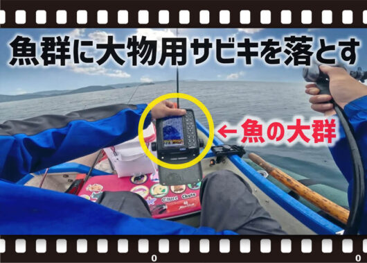 【YouTube動画紹介】