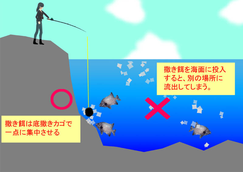 10_　マキエのイメージ