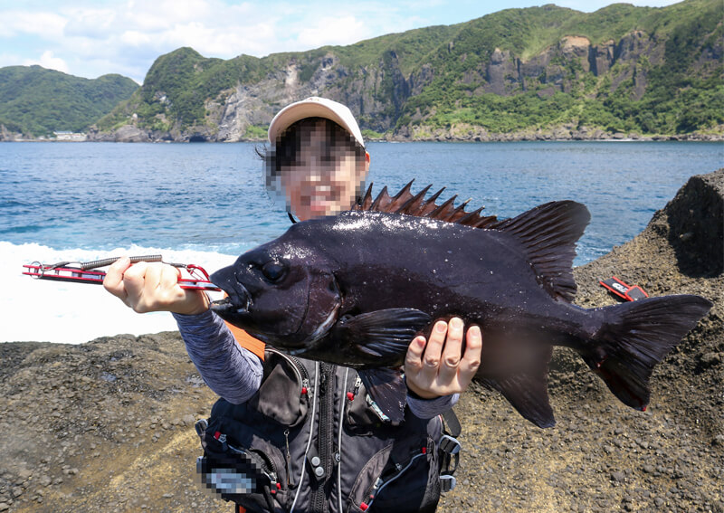 13_　イシダイ釣果