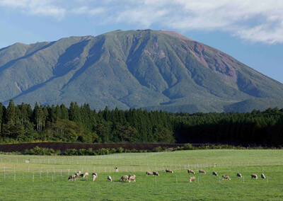 20_　羊と岩手山