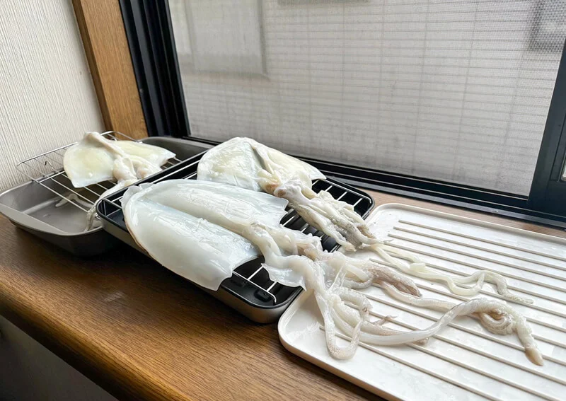 アオリイカの一夜干し