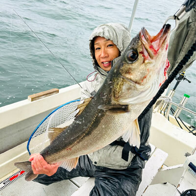 01_ スズキ釣果1