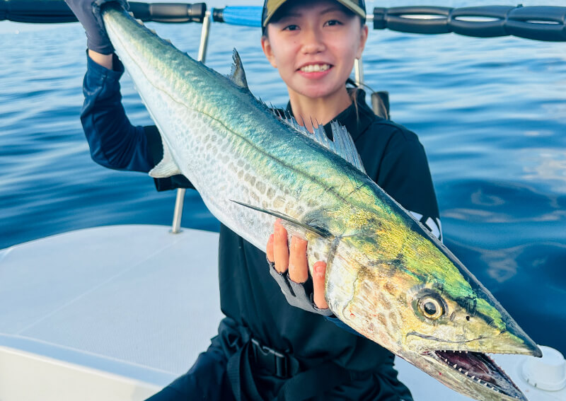 03_ サワラ釣果
