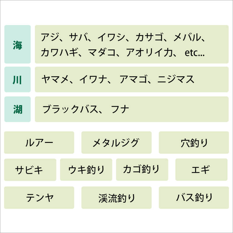 05_ 05+06