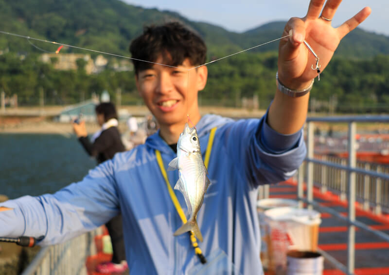 06_ アジ