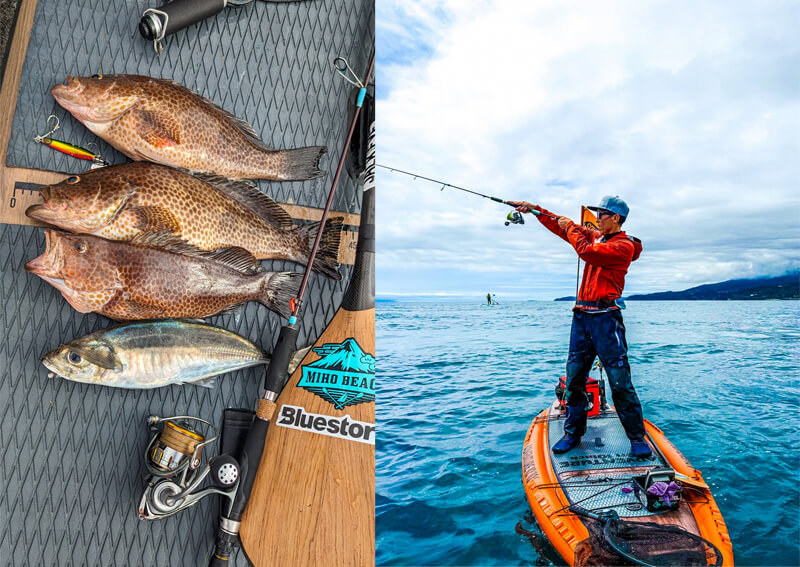 06_ オオモンハタ&ROD縦+SUPイメージ③