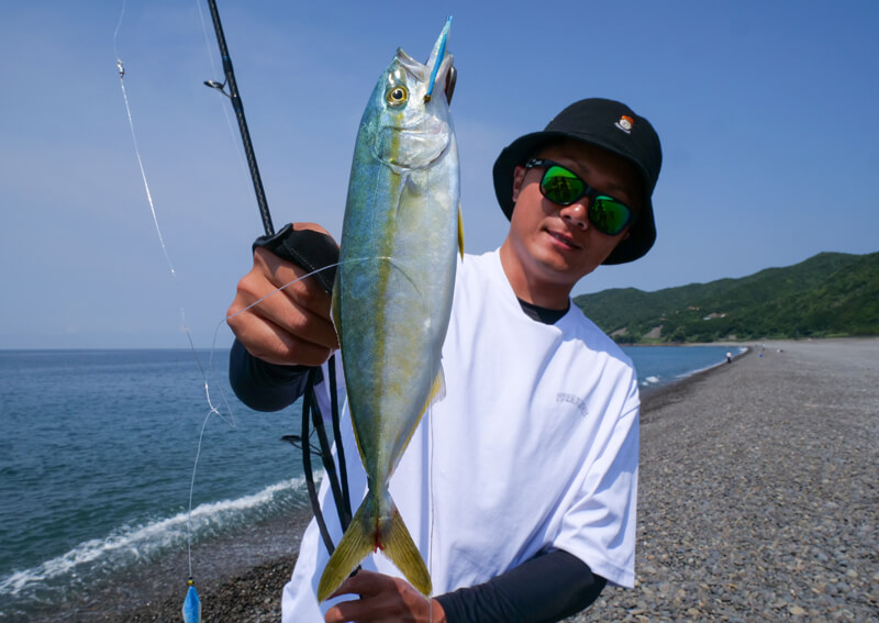 08_ ツバス