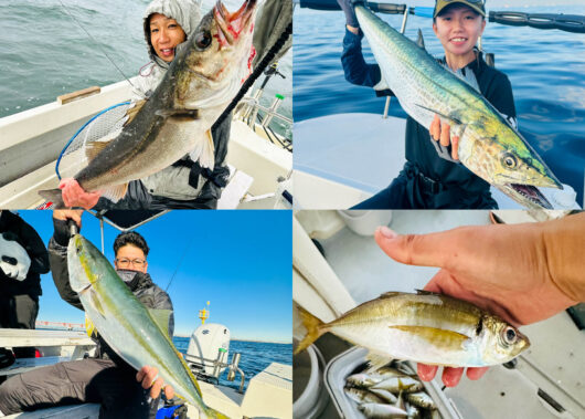 いよいよハイシーズン突入！