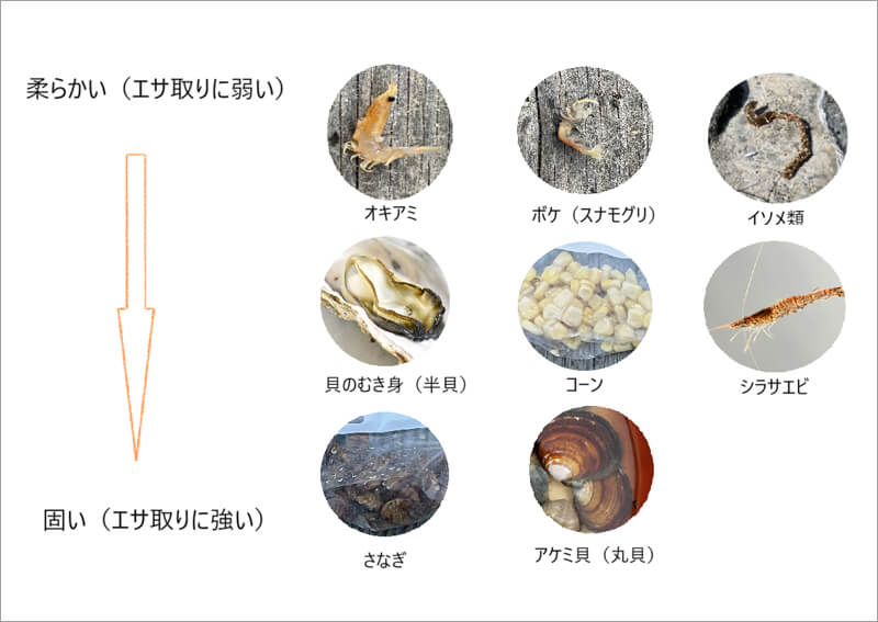 17_　エサの選定