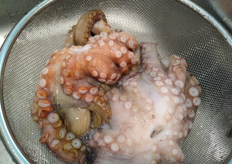 タコの下処理