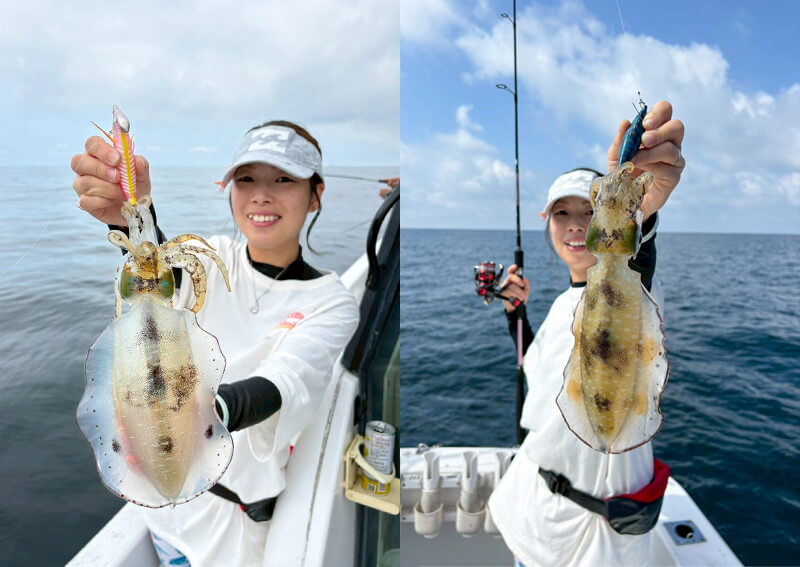 02_　アオリイカ釣果