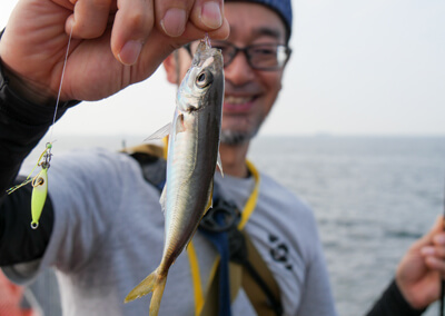 03_　アジ釣果