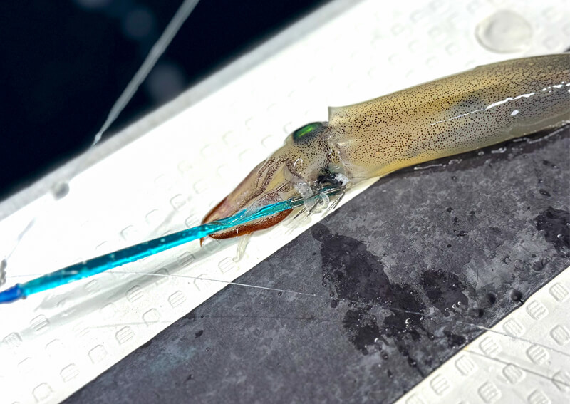 03_　ピカイチスティック