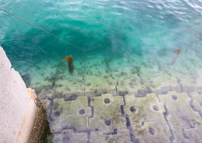 03_ 海面水位(岸壁の水面など)