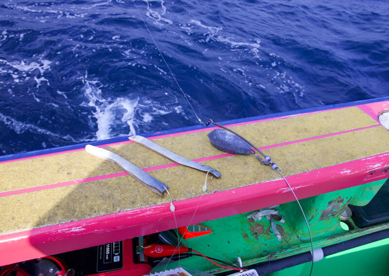 04_ つけえさ.jpeg