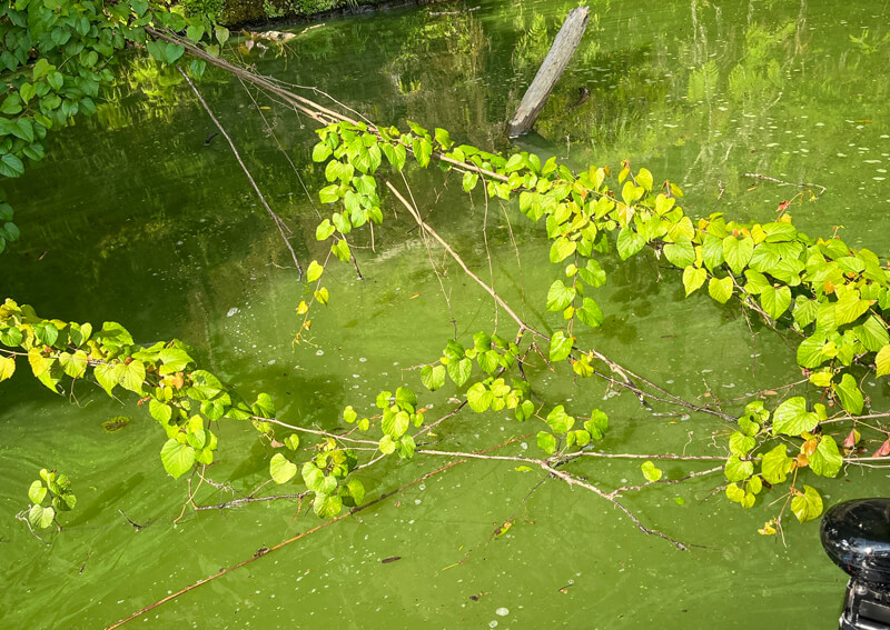 05_ 亀山ダム (1)