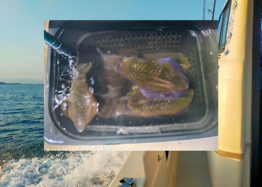 初挑戦で実感！アタリを掛ける快感がたまらない