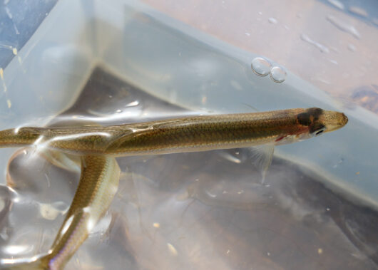 ハリ一新で掛かり激変！