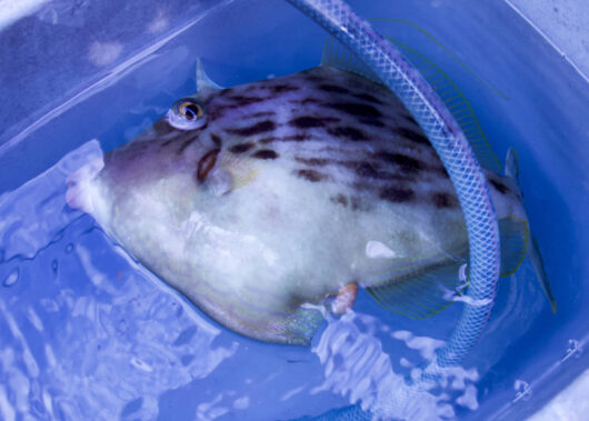 首都圏から電車釣行！