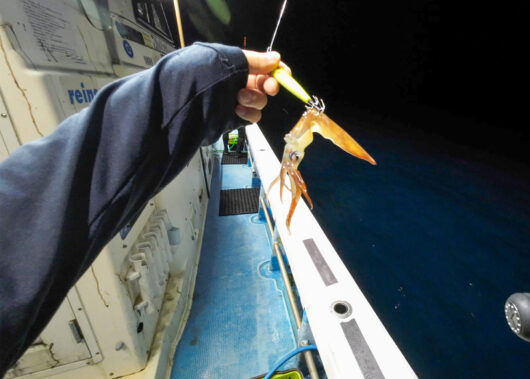 シーズンはまだまだ続く！