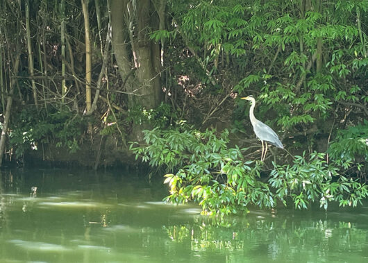 関東屈指の人気フィールド「亀山ダム」