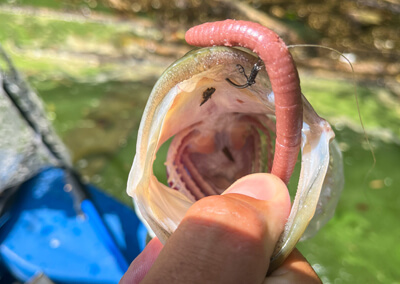 10_ 亀山ダム (7)