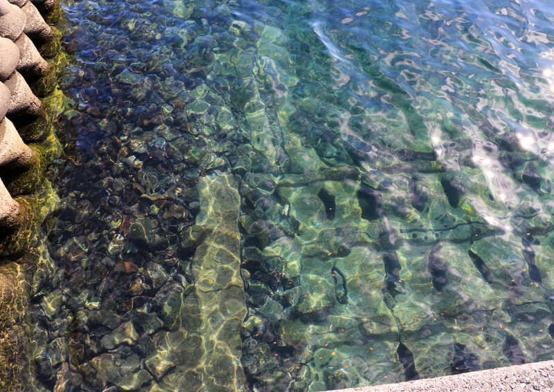 10_　暖かい海の中