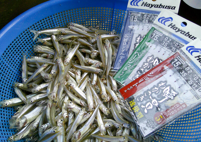 15_ 瞬貫わかさぎ