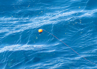 01_ 「ウキ釣り」は基本の釣り