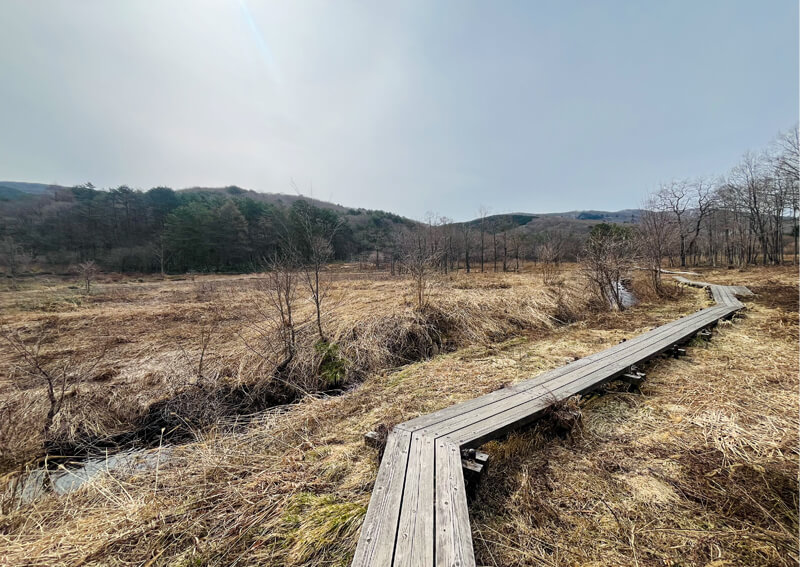 02_ 八幡湿原