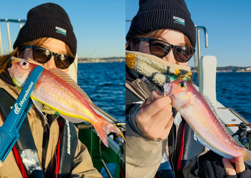 02_ sokoitoyori＋akaamadai_1