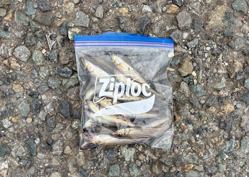 04_　フリーザーバッグ