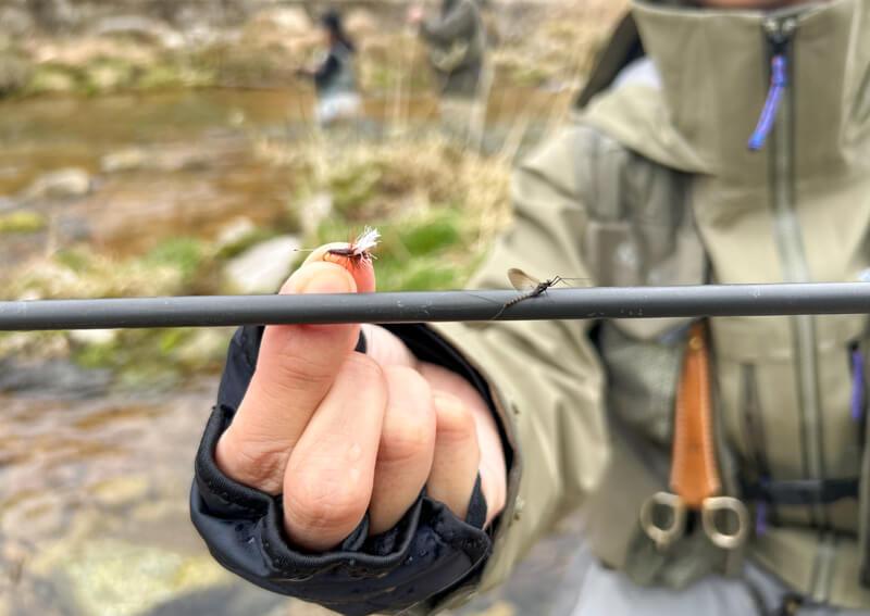 05_ ドライフライ