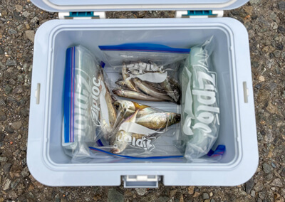 05_　クーラーボックス