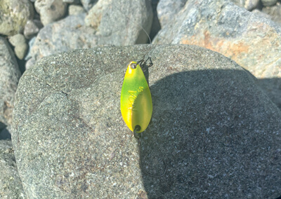 06_　ルアースプーン