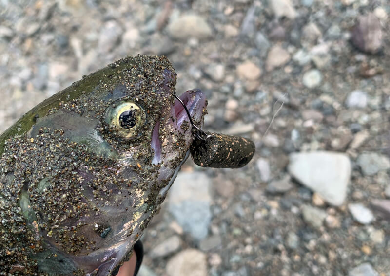 08_　裏丹沢ペレット