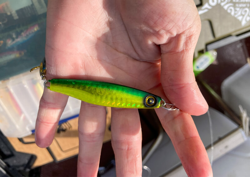 08_ ジャックアイ サワラスピン(ハヤブサ)