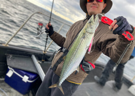 奥伊勢湾の気まぐれサワラ攻略！