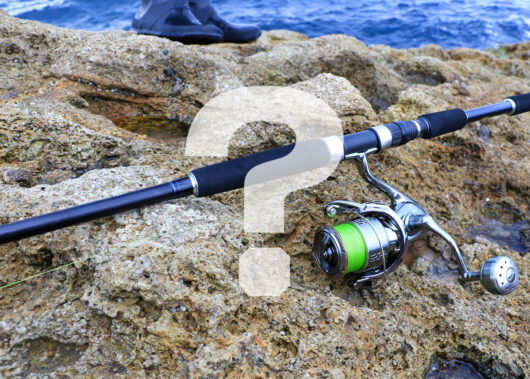 「入魂」「ツ抜け」「うりぼう」ってなに？