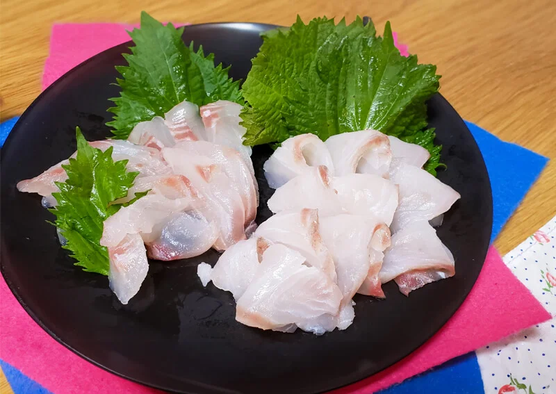 マゴチのお刺身