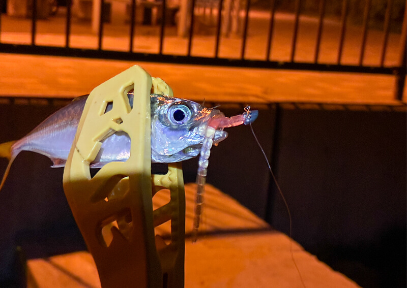 01_　差し替え１