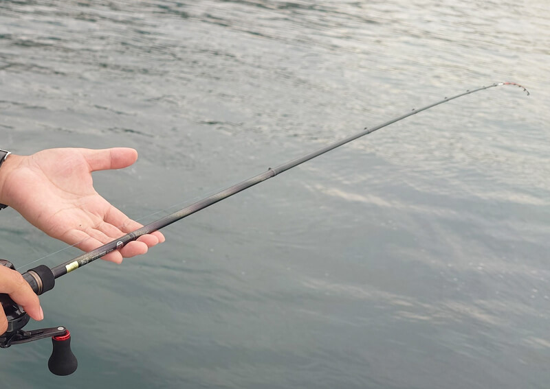 02_　竿の曲がり