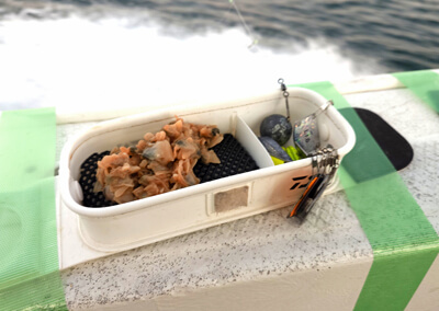 04_　エサトレー