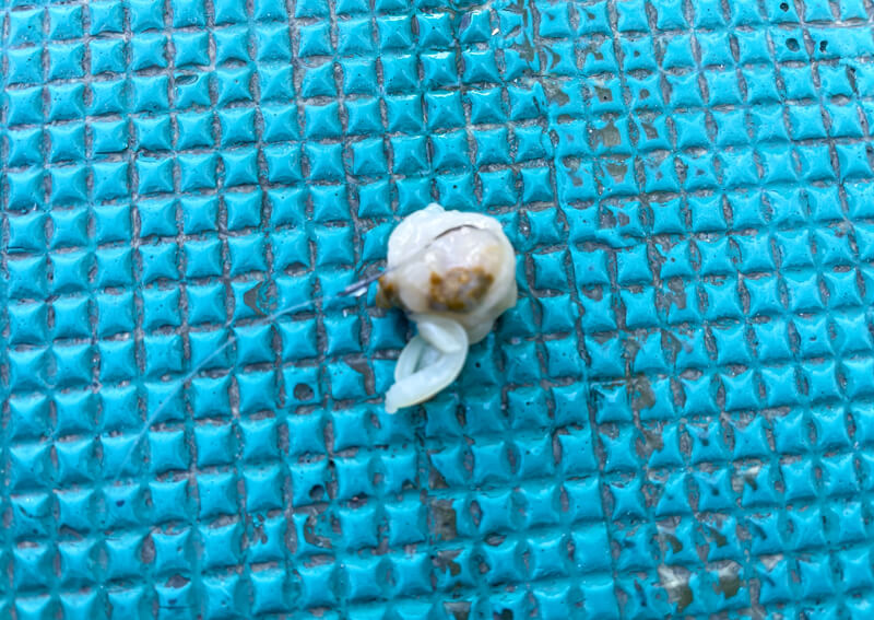 05_　ハリの刺し方