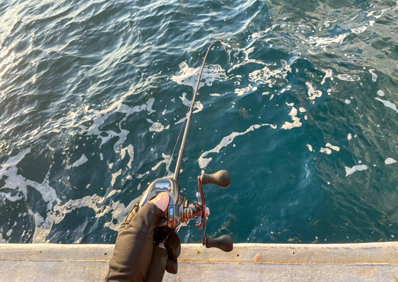 06_　穂先に集中