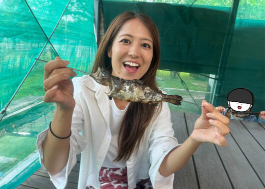 子どもも初心者も大満足！