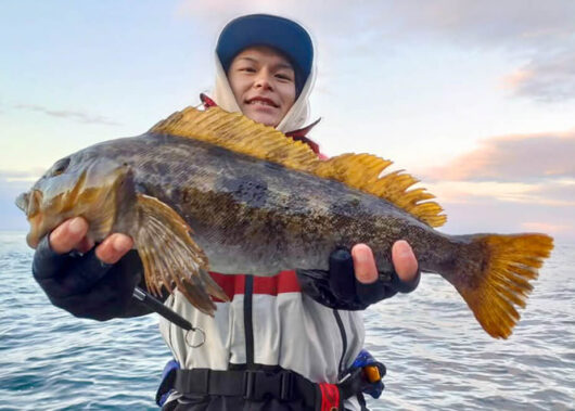 シンプルイズベスト！