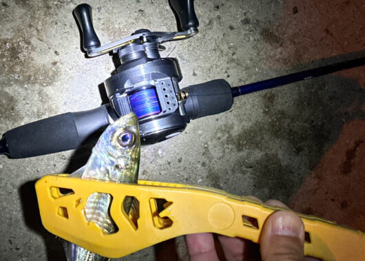 試して実感！楽しさ発見！